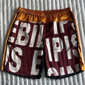 NWOT Dries Van Noten Bermuda Parcher Graphic Printed Satin Shorts